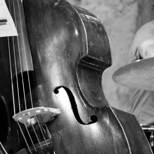 Daniele Pavignano - Musica Matrimonio - Jazz Band - Trio chitarra, contrabbasso e violino